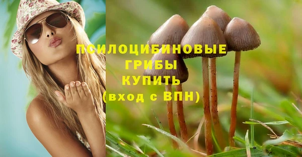 первитин Вязьма
